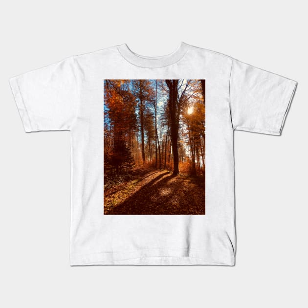 Sun rising behind autumn trees Kids T-Shirt by Dturner29